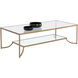Kessler 65 X 33 inch Clear / Antique Gold Coffee Table